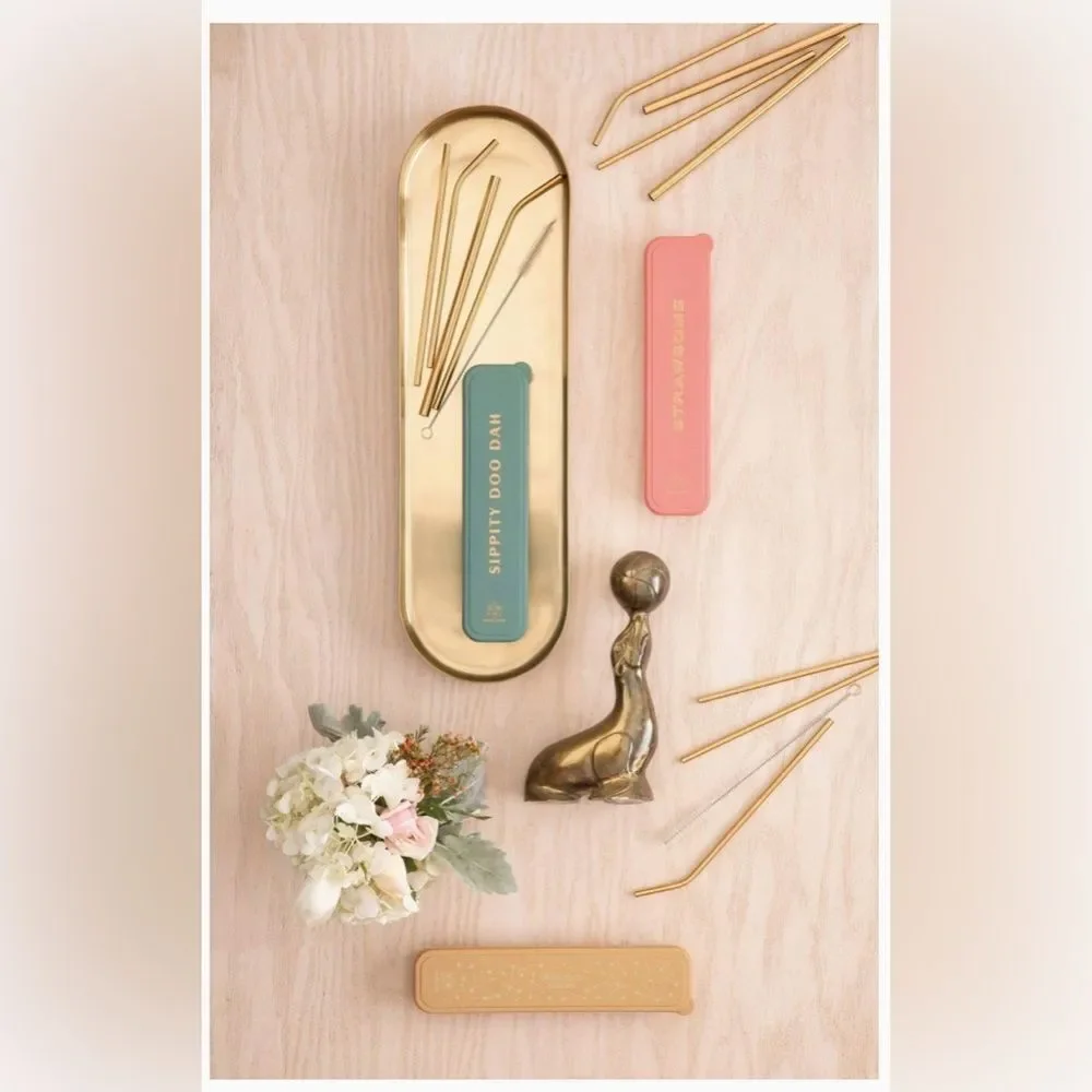 DESIGNWORKS INK Wish Upon a Straw‎ Gold Reuseable Straw Set Straws &  Brushes